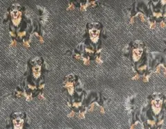 【ゆきちゃん限定】X2554-1 ダックス ブラックタン デニム黒 生地 1m