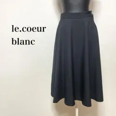 le.coeur blanc サイドジップ フレアスカート ブラック　Mのサムネイル