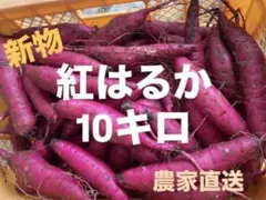 紅はるか　鹿児島県産　さつまいも　新物