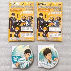 ハイキュー!! 岩泉一 缶バッジ 2個セット