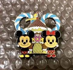 香港ディズニーランド ピンバッジ ピンバッチ ミッキー ミニー