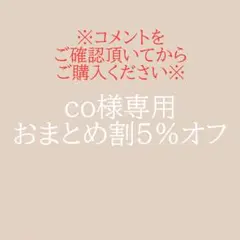 co様 リクエスト 2点 まとめ商品