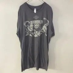 希少　Arnold Sports Festival Ｔシャツ　グレー　2014