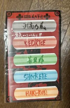 2025年最新】湘南乃風 グッズの人気アイテム - メルカリ