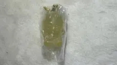 スキズ skzoo グミ チャーム ポガリ