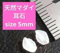 天然マダイ 耳石 お守りパワーストーン天然石宝石開運受験　F30