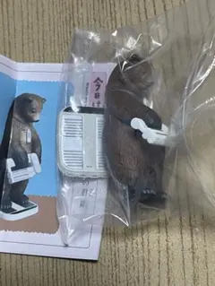 パンダの穴 タニタ 体重計 動物ガチャ 今日は何キロ？ クマ