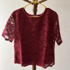 アースミュージックアンドエコロジー　総レース　半袖　トップス　F