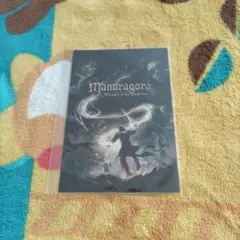 【特典のみ】【ソフト無】ポストカード　Mandragora: Whispers