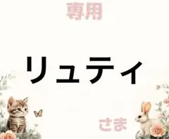 専用
