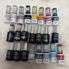 Gel Nail 多色ジェルネイルセット