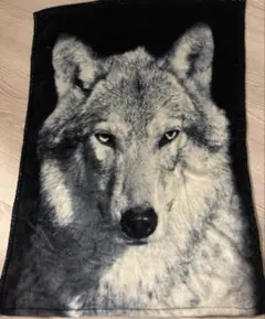 フランネル オオカミ ブランケット 毛布