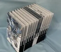 文豪ストレイドッグス 限定版 全12巻セット