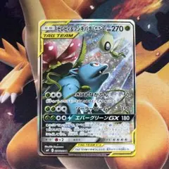 ポケモンカード セレビィ&フシギバナGX SR SA ポケモンカード セレビィ&フシギバナGX SR SA 1枚の通販 寬之