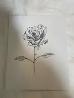 花 Flower flower 絵
