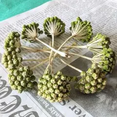 コスモスン様 リクエスト 2点 まとめ商品