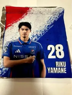 マリガチャ　マリノスプレイヤーズ巾着 28 山根陸選手