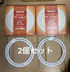 National ツインパルック85形電球色FHD85EL 2個セット
