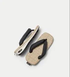 Item thumbnail for item e317231b-bd63-4d5a-9dfe-5b1ebeffa28e