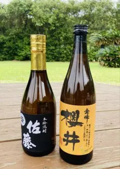 焼酎 大隅 芋焼酎 麦焼酎 さつま 白波 いいちこ 900㎖ 12本セット