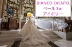 BIANCO EVENTOウェディングベール3m クリーム スパンコール