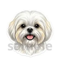 シーズー　シール　ステッカー　2枚セット