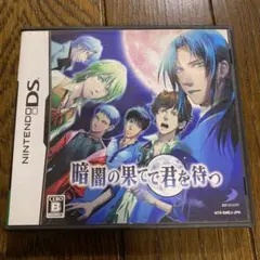 暗闇の果てで君を待つ ニンテンドーDS