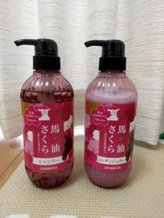 Item thumbnail for item 2485dfb8-55eb-4669-9db2-4c82d98569b3