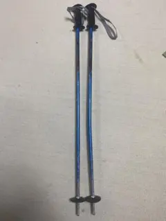 サロモン　青いアルミスキー用ストック