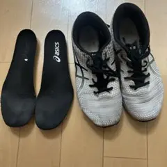 ライトレーサー 4 ワイド　25㎝　難あり
