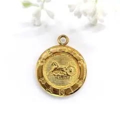 【希少/美品】セリーヌ ネックレストップ 馬車 サークル ロゴ コイン ゴールド