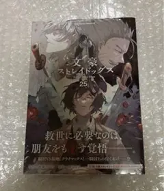 文豪ストレイドッグス　25