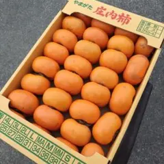 ③山形県鶴岡市産　庄内柿