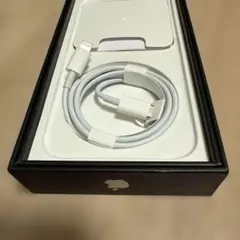 純正 Lightningケーブル