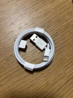 純正 Lightningケーブル