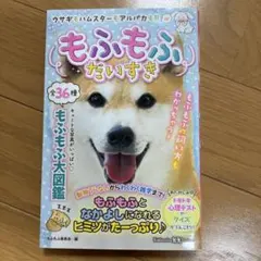 Item thumbnail for item 79fa094c-f159-46a4-ac1d-91eb0dce1e21