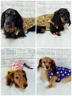犬用ちゃんちゃんこ♡オーダー専用ページ