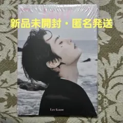 Stray Kids　DOiT　未開封　リノ