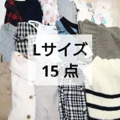 ミッキー様専用_レディース15点×17点 まとめ売り 秋冬 春夏 レディース服