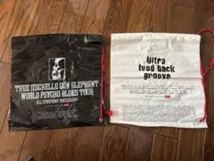 ミッシェルガンエレファント ミュージシャン