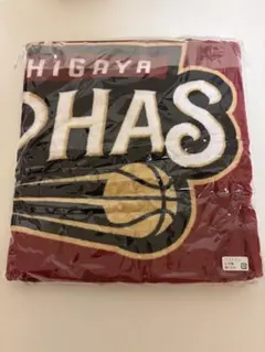 越谷アルファーズ ファンクラブグッズ バスタオル&マフラータオルセット