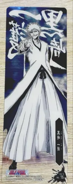 白一護 黒崎一護 BLEACH ザ・カードガム