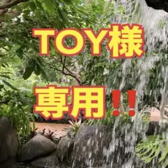 TOY様 専用‼️ 14kg入り!! キウイフルーツお得箱‼️