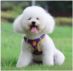 犬 小型犬 中型犬 犬用 犬具 ハーネス 胴輪 快適 おしゃれ リード付 XL