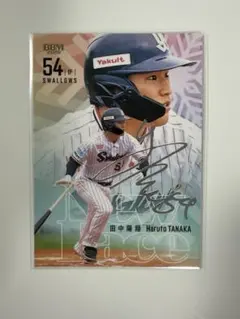 【田中陽翔】 BBM 2026 ルーキーエディション ヤクルト 200枚限定