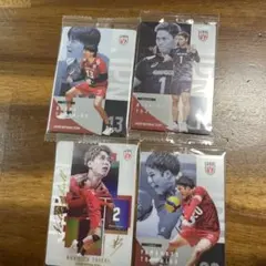 バレーボール 日本代表 トレーディングカード 4枚セット　ウエハース