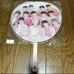 SEVENTEEN 全員　うちわ　2019 haru イルコン　日本　グッズ