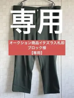 Item thumbnail for item 41d535c4-eea5-44d5-87f0-d76a82f774ef