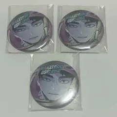 ハイキュー 牛島若利 デコレクション缶バッジ ファンパーク ジャンプ