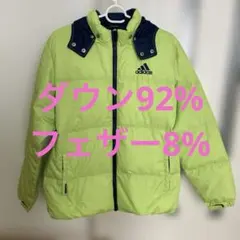 Item thumbnail for item 8f0d35a6-21c1-49da-a9e3-a971b3388a84